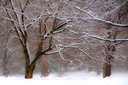 _DSC4794 8x12 copy 2