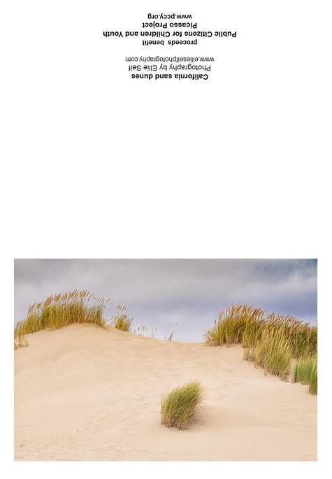 California Sand Dunes
