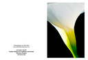 flower (1)