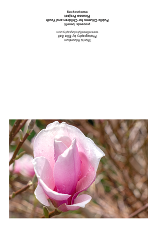 Morris Arboretum 17