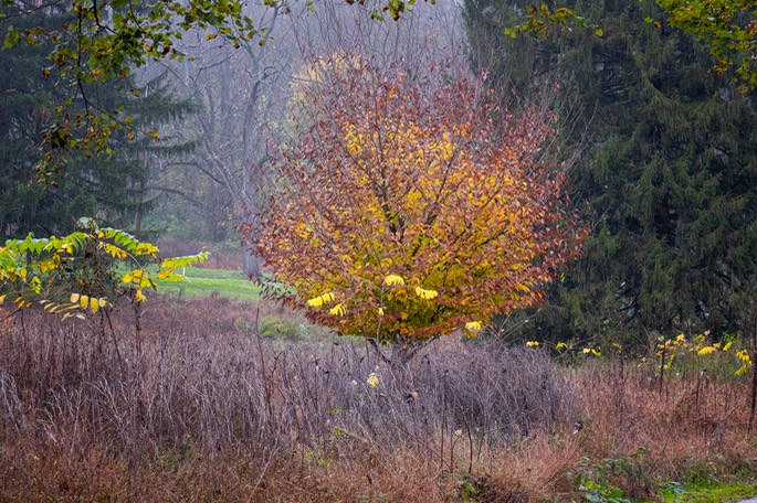 Nature - Near & Far 20